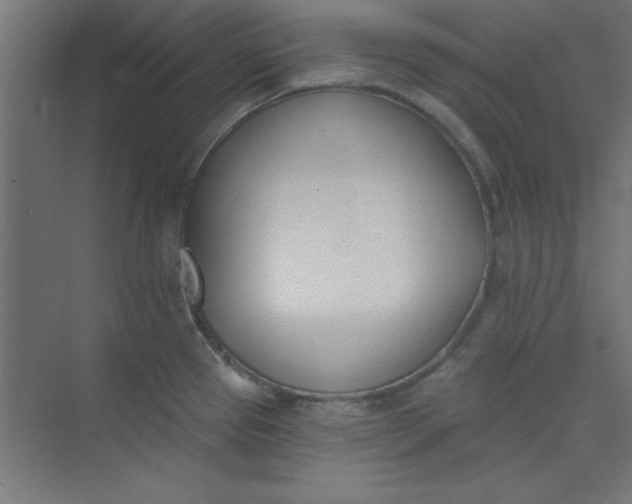 X0000073971337200609051835