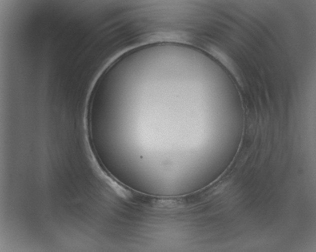 X0000073971339200609051835