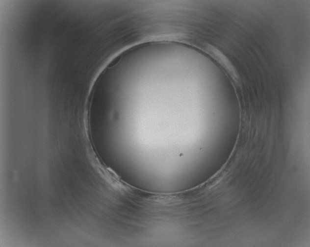 X0000073971340200609051835