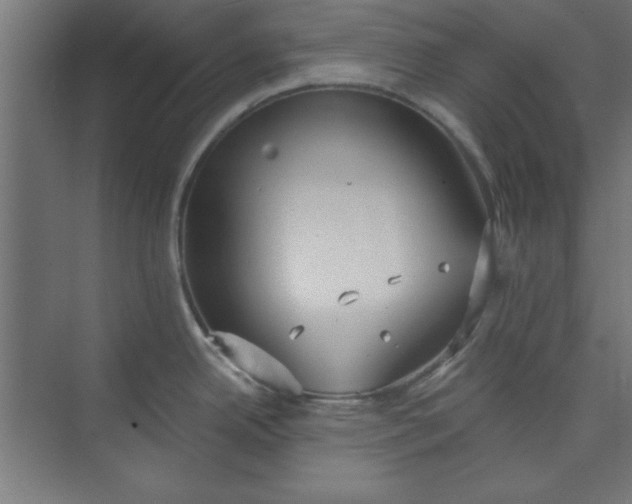 X0000073971342200609051835