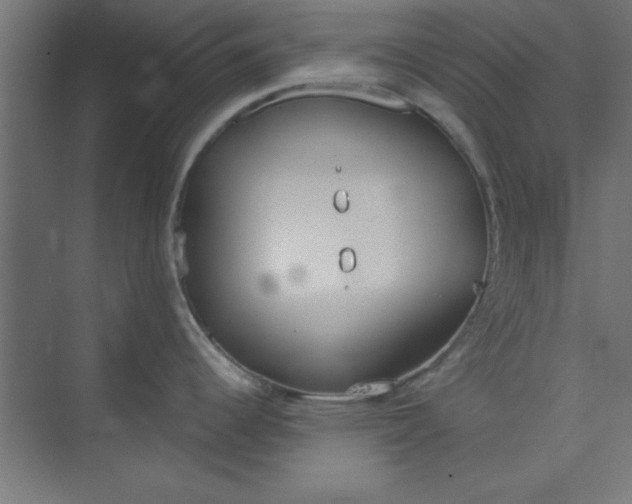 X0000073971344200609051835