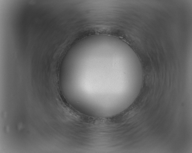 X0000073971345200609051835