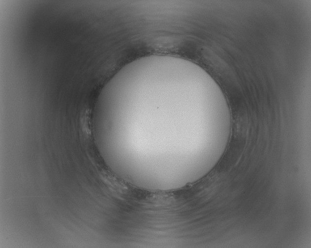 X0000073971346200609051834