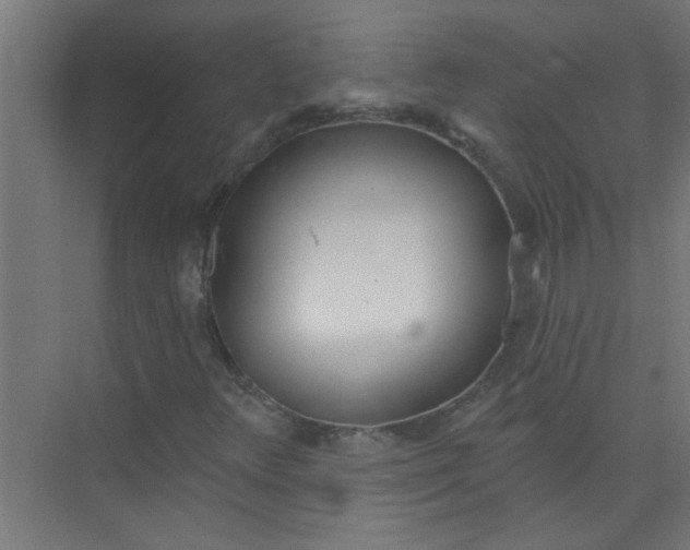 X0000073971348200609051834