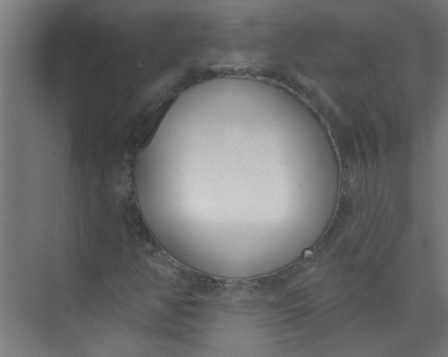 X0000073971350200609051834