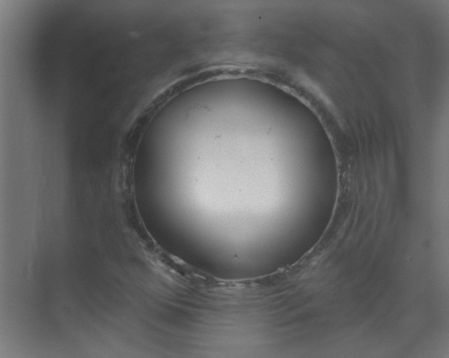 X0000073971352200609051834