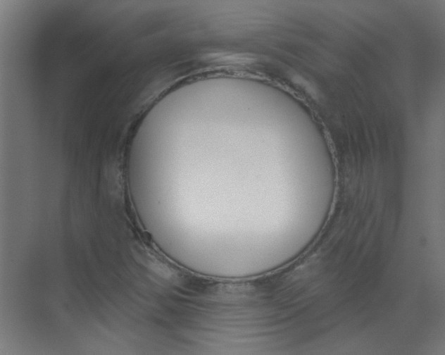 X0000073971354200609051834