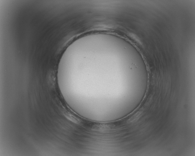 X0000073971355200609051834