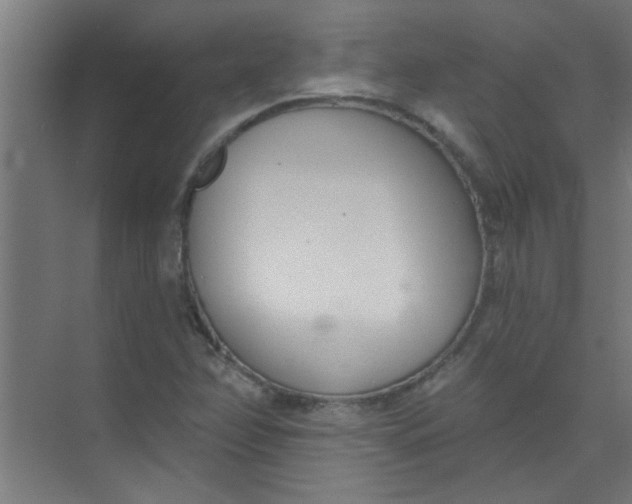 X0000073971358200609051834