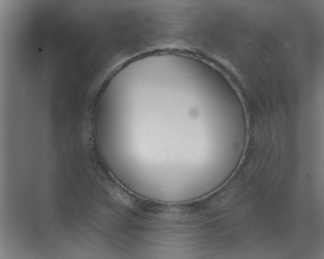 X0000073971359200609051834