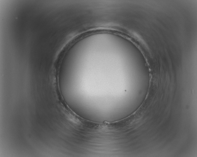 X0000073971360200609051834