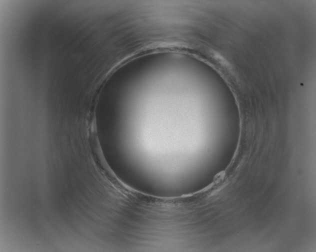 X0000073971361200609051834