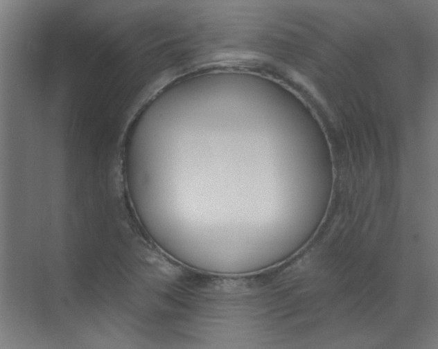 X0000073971362200609051834