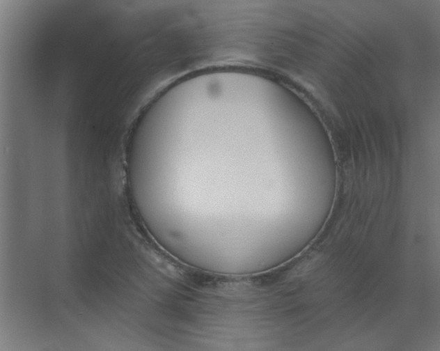 X0000073971363200609051834