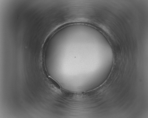 X0000073971364200609051834