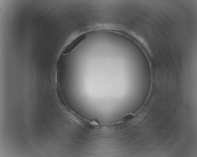 X0000073971365200609051834