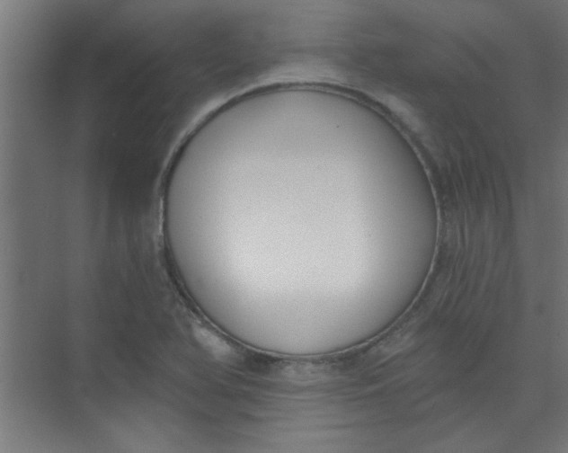 X0000073971366200609051834