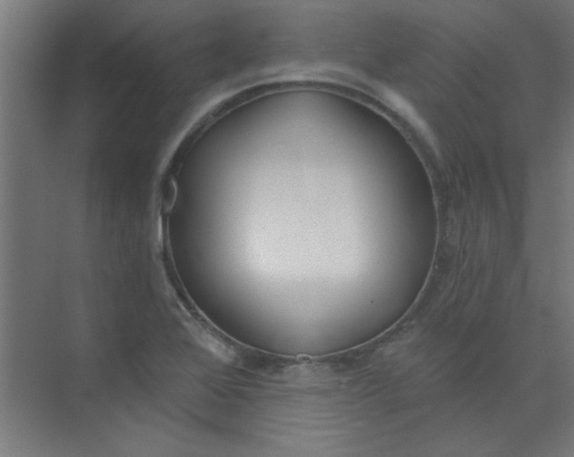 X0000073971368200609051834