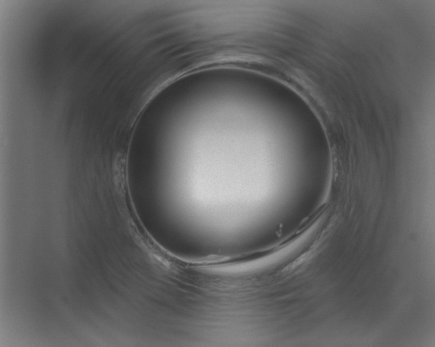 X0000073971369200609051834