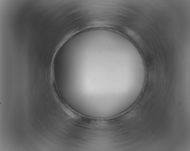 X0000073971370200609051834