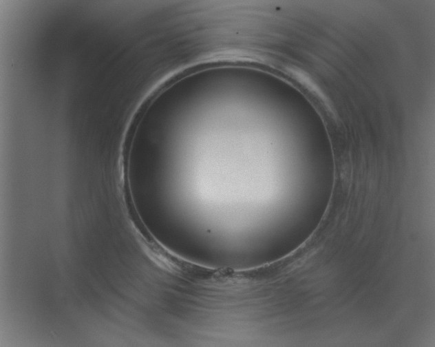 X0000073971372200609051834