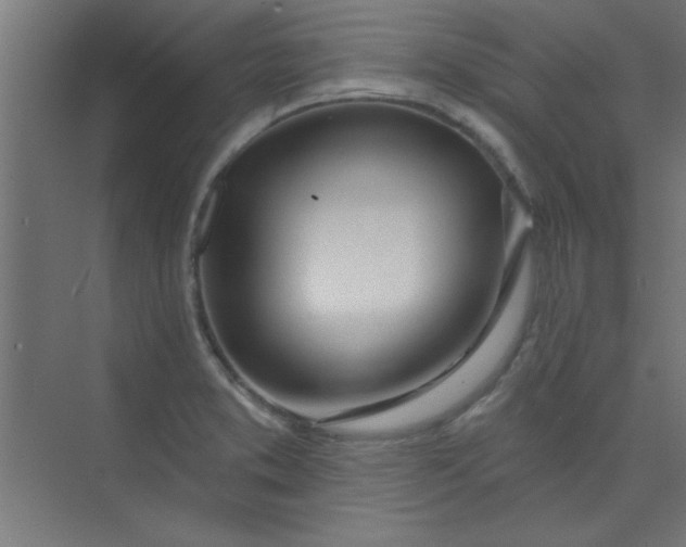 X0000073971373200609051834