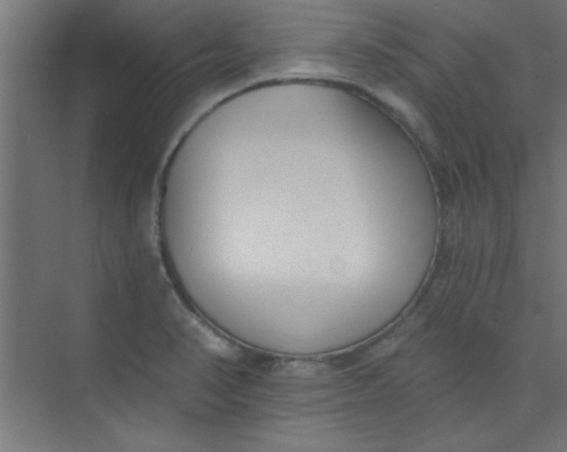 X0000073971374200609051834