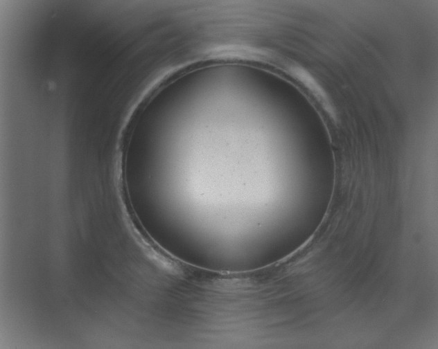 X0000073971376200609051834