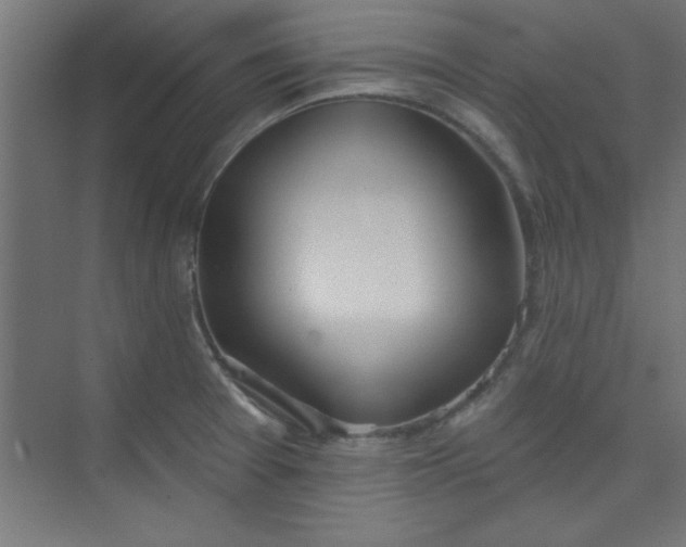 X0000073971377200609051834