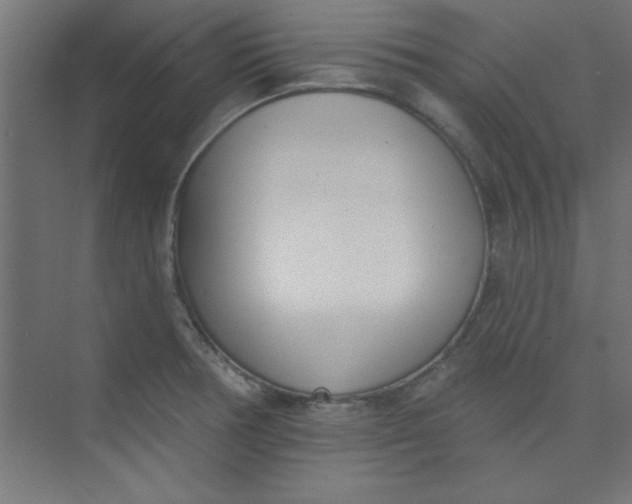 X0000073971378200609051834