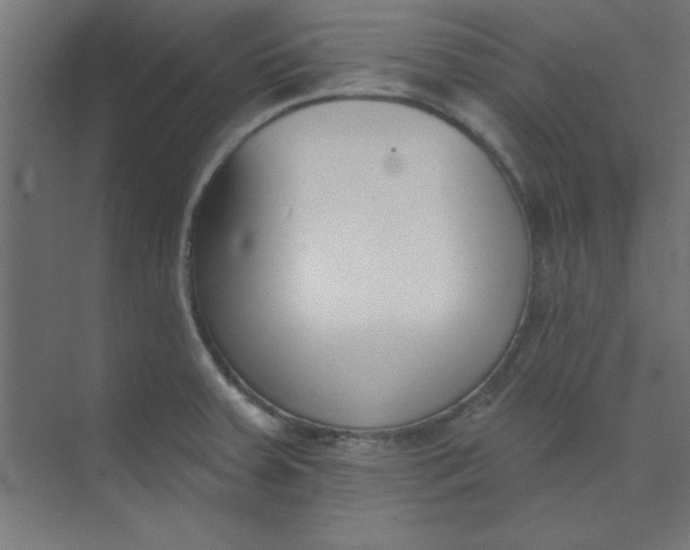 X0000073971379200609051834