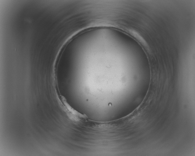 X0000073971380200609051834