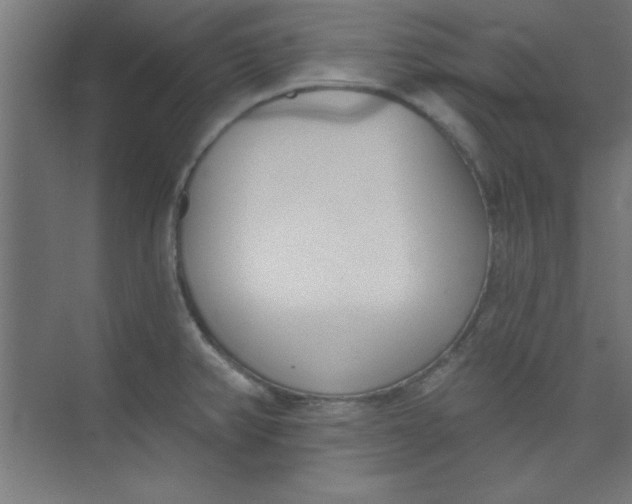 X0000073971382200609051834