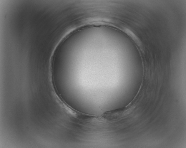 X0000073971384200609051834