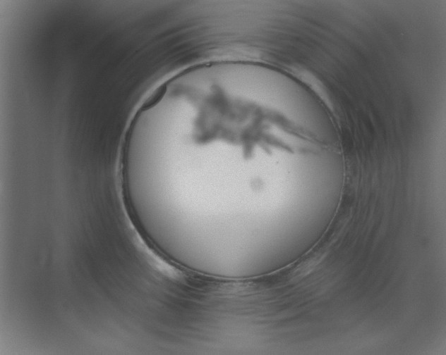 X0000073971387200609051834