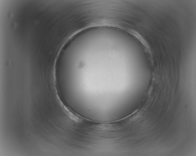 X0000073971388200609051834