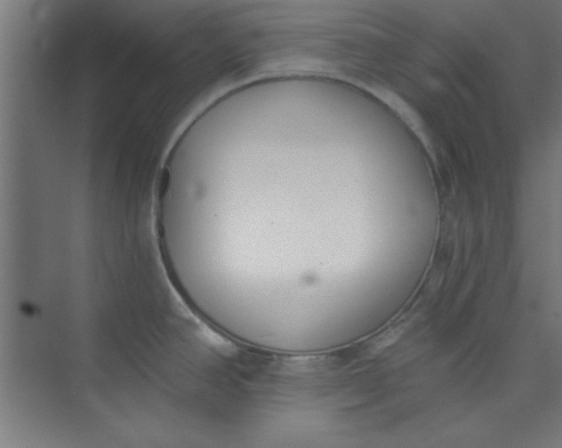 X0000073971390200609051834