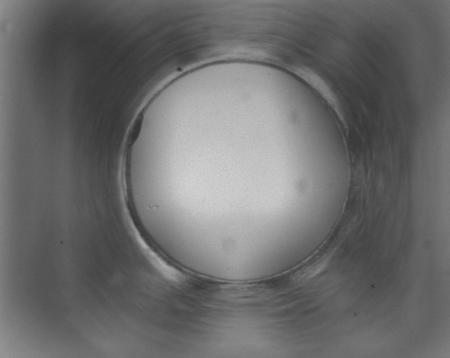 X0000073971391200609051834