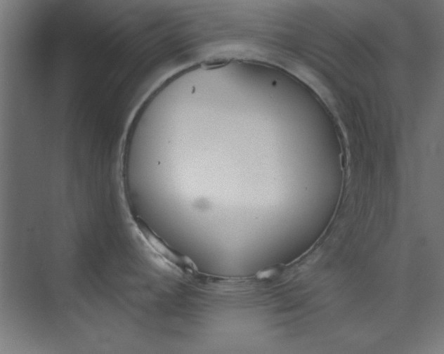 X0000073971392200609051834