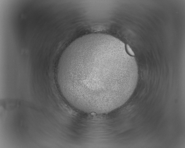 X0000073971393200609051833