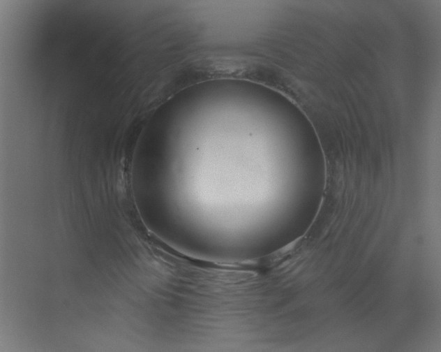 X0000073971394200609051833