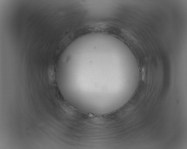 X0000073971395200609051833