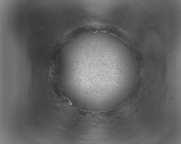 X0000073971397200609051833