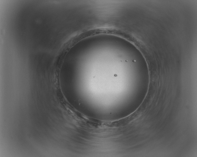 X0000073971398200609051833