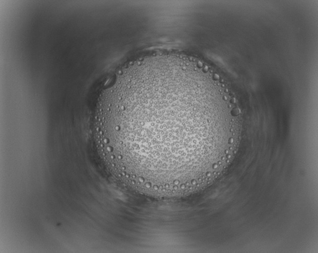 X0000073971399200609051833