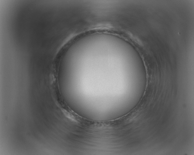 X0000073971400200609051833