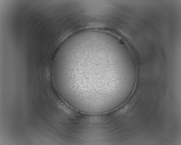 X0000073971401200609051833