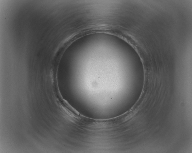 X0000073971402200609051833