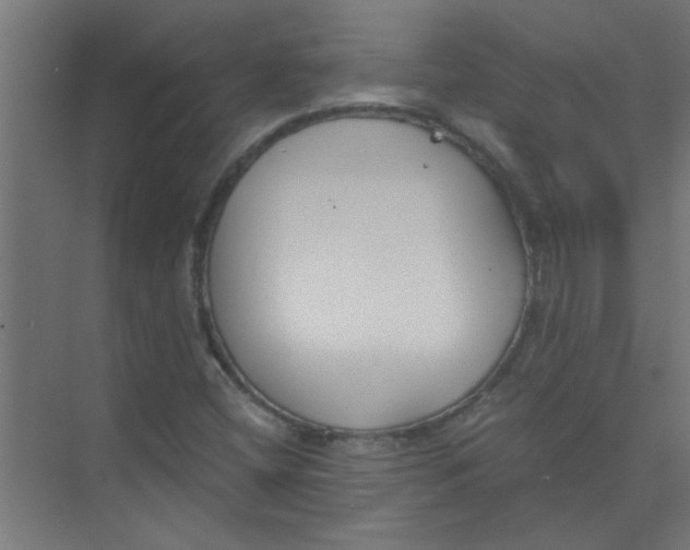 X0000073971404200609051833