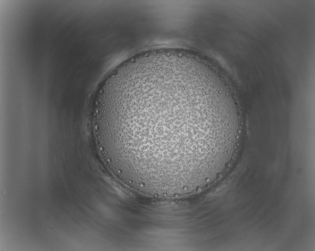 X0000073971405200609051833